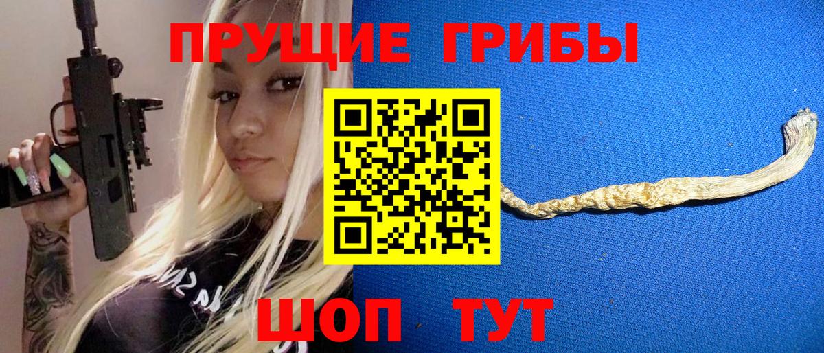 Псилоцибиновые грибы Cubensis Ялуторовск